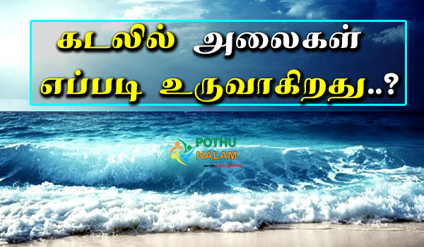 how to see ​​waveform in tamil