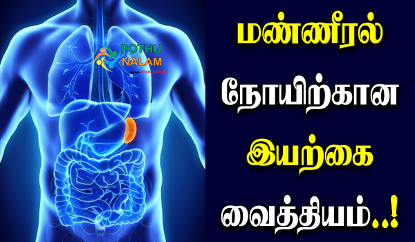 spleen function in tamil