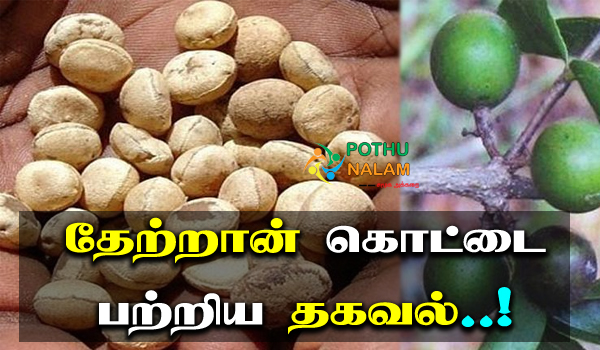 thetran kottai benefits in tamil