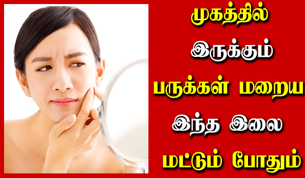 thiruneetru pachilai beauty tips in tamil