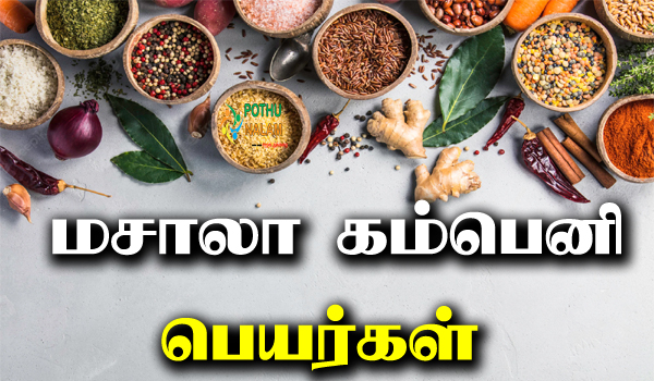 top 10 masala companies in tamilnadu