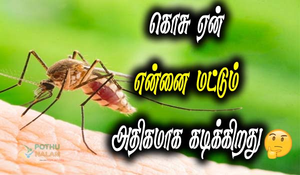 why do mosquitoes bite me more than others in tamil