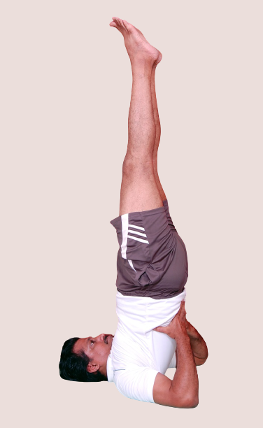 yoga for full body blood circulation in tamil