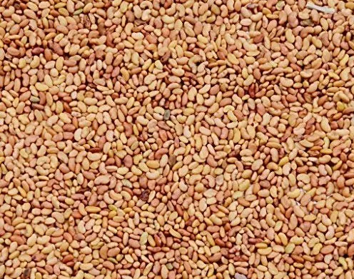 Alfalfa seeds in tamil