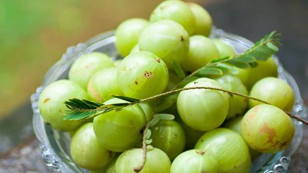 Amla candy in tamil