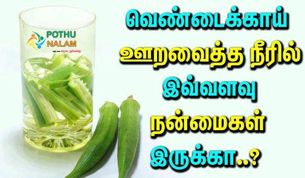 Benefits Drinking Ladyfingers Soaked Water in Tamil