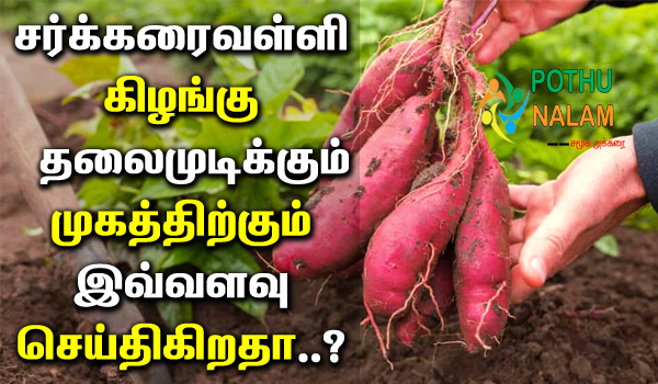 Benefits of Sweet Potato For Skin And Hair in Tamil