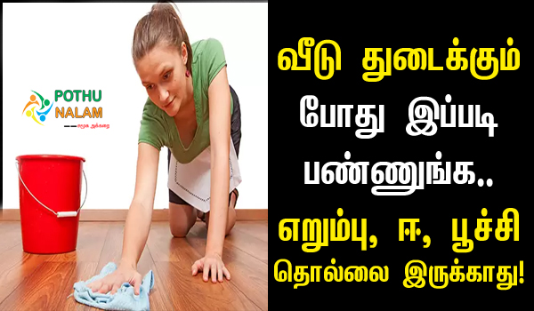 Cleaning Tips in Tamil