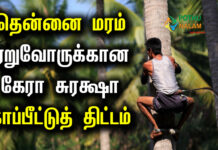 Coconut Development Board Insurance Subsidy in Tamil