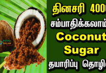 Coconut Sugar Making Business in Tamil