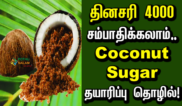 Coconut Sugar Making Business in Tamil