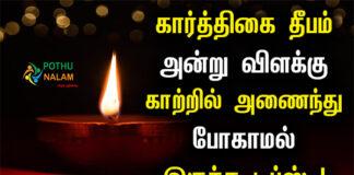 Karthigai Deepam Tips in Tamil