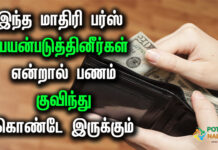 Lucky Money Purse in Tamil