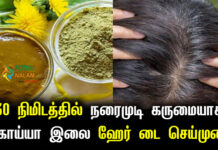 Natural Black Hair Dye Home Remedies in Tamil