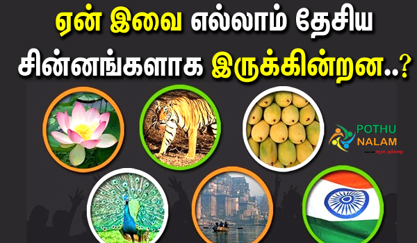 The Secret Behind National Symbols in Tamil