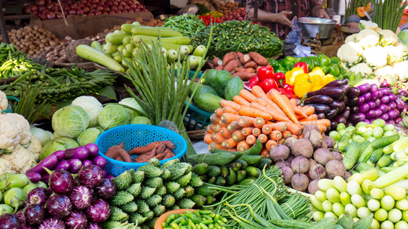 Vegetable Store Business Ideas in Tamil