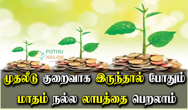 Vegetable Store Business Ideas in Tamil