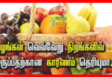different colours of fruits in tamil
