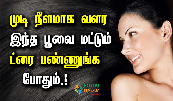hibiscus leaves for hair in tamil