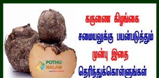 karunai kilangu benefits in tamil