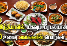 most popular 10 food in india