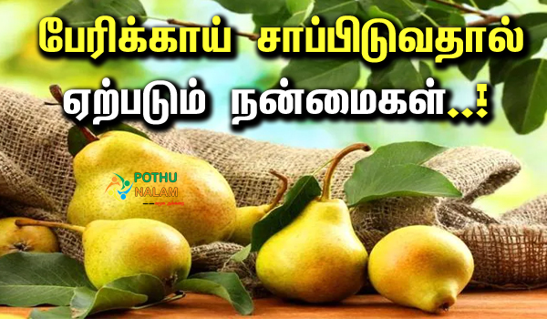 sabarjilli fruit benefits in tamil