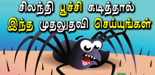 spider bite first aid treatment in tamil