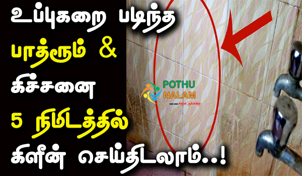 Bathroom and Kitchen Cleaning Tips in Tamil