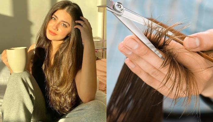 Home remedies for hair fall and regrowth for female in tamil