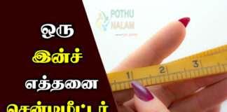 How Many Feet in an Inch in Tamil 