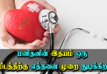 How Many Times Does The Heart Beat in Tamil