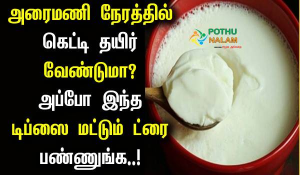 How to Make Thick Curd at Home in Tamil