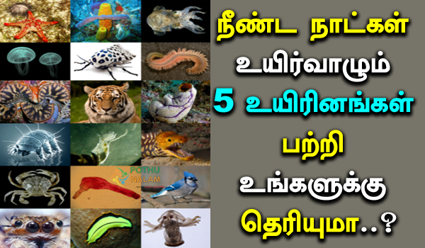 Longest Living Animals Ever in Tamil 