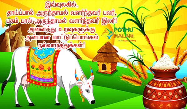  Mattu Pongal Wishes in Tamil