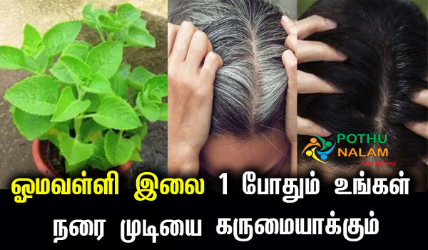 Omavalli Hair Dye in Tamil