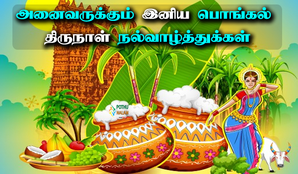 Pongal Wishes Images 2024 | பொங்கல் வாழ்த்து 2024