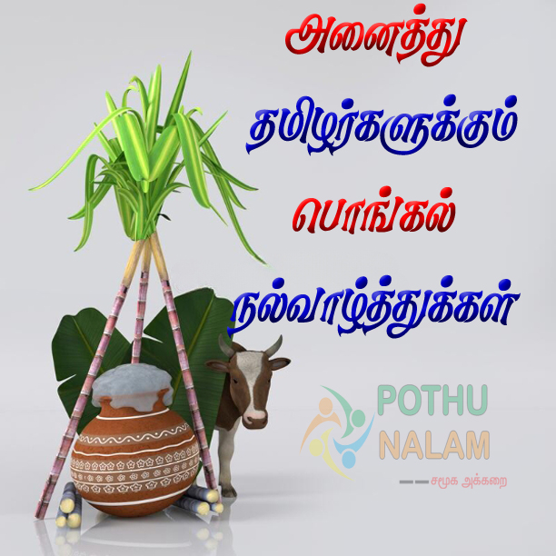 Pongal Wishes Quotes 2023