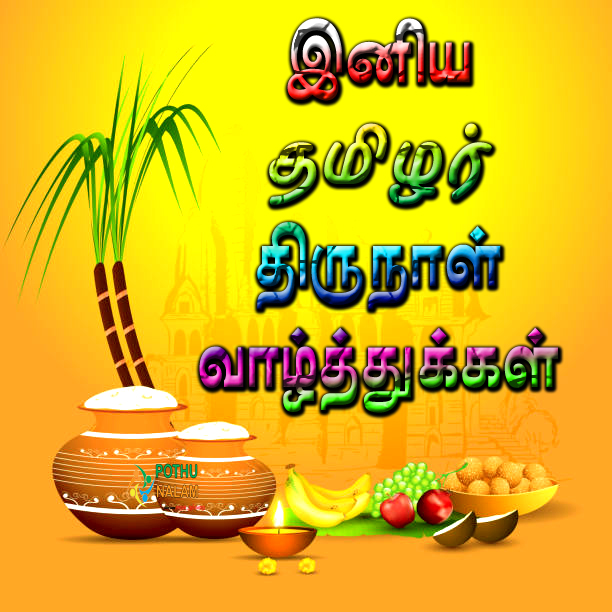 Pongal Wishes in Tamil 2023