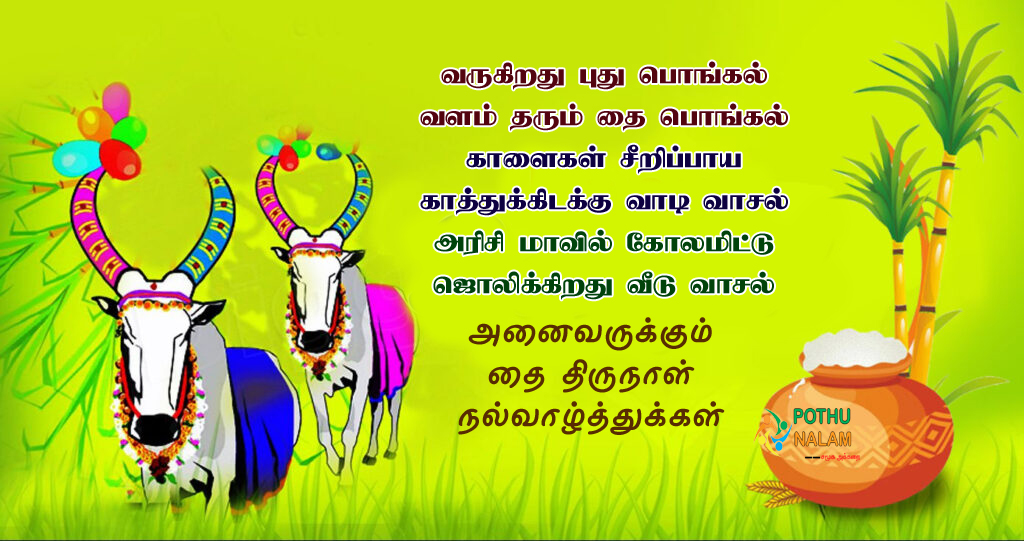 Pongal Wishes in Tamil