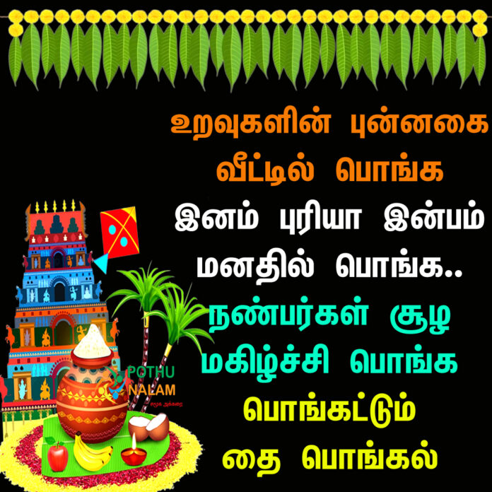 Pongal Wishes in Tamil Words 2023