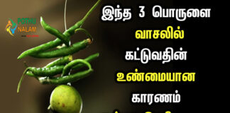 Scientific Reason Behind Hanging Lemon and Chillies in Tamil