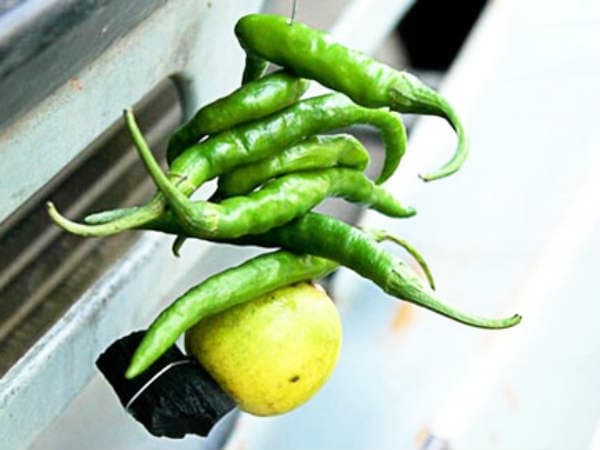 Scientific Reason Behind Hanging Lemon and Chillies in Tamil