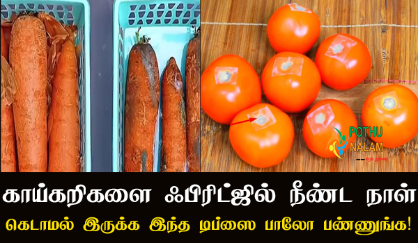 Vegetable Storage Tips in Tamil