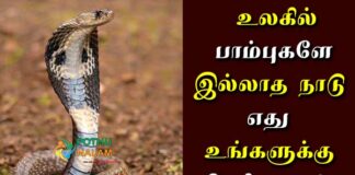 What is a country without snakes in tamil
