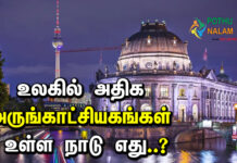 Which country has the most museums in the world in tamil