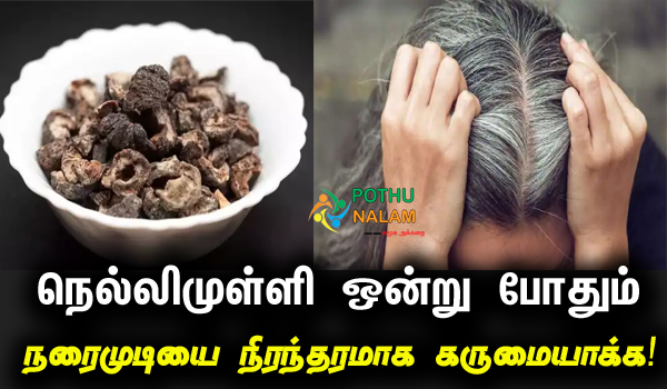 White Hair To Black Hair Permanently in tamil