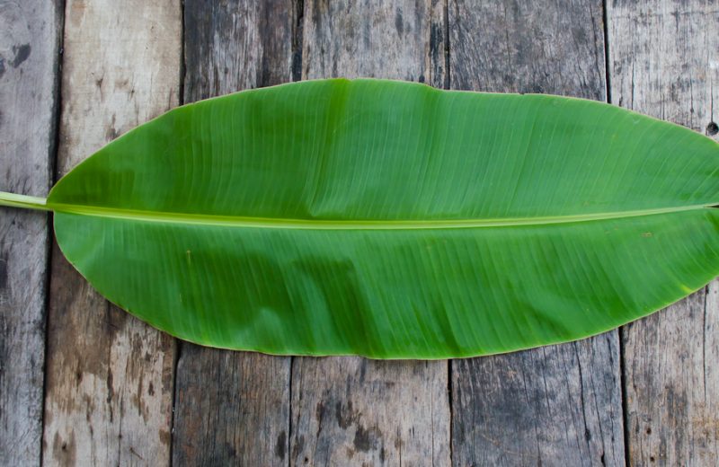  banana leaf in tamil