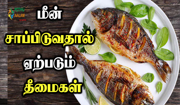 fish benefits and side effects in tamil