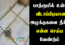 how to clean mold from bathroom tiles in tamil