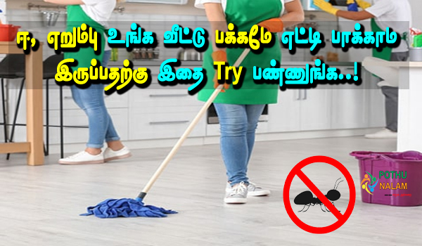how to stop ants coming into the house in tamil